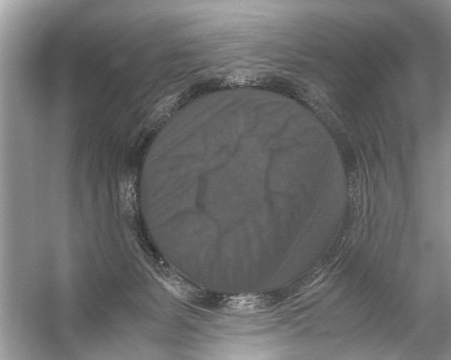 X0000056000127200509162328