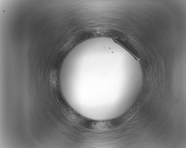 X0000056000129200509162328