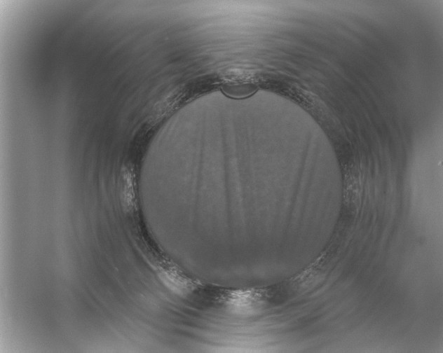 X0000056000130200509162328