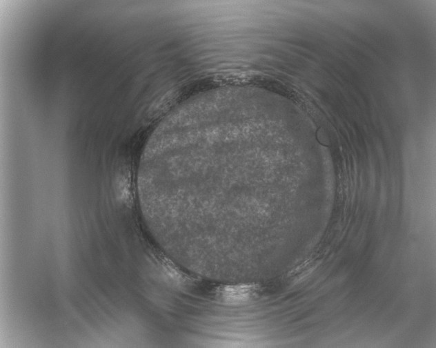 X0000056000134200509162328