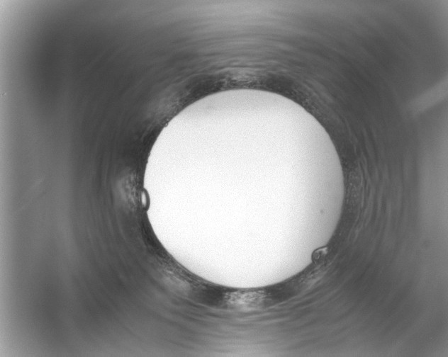 X0000056000135200509162328