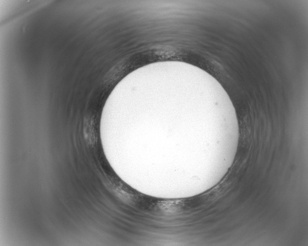 X0000056000136200509162328