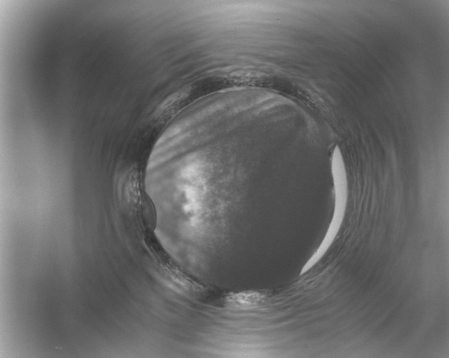 X0000056000137200509162328