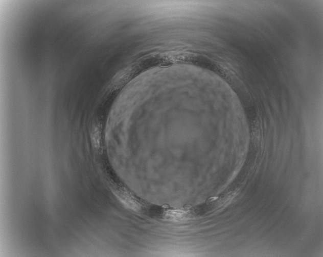 X0000056000139200509162328