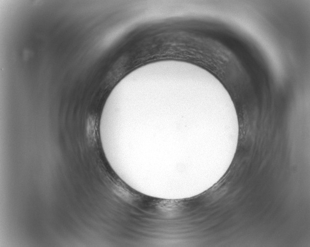 X0000056000142200509162327