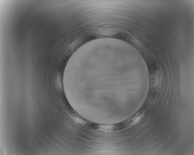 X0000056000143200509162327