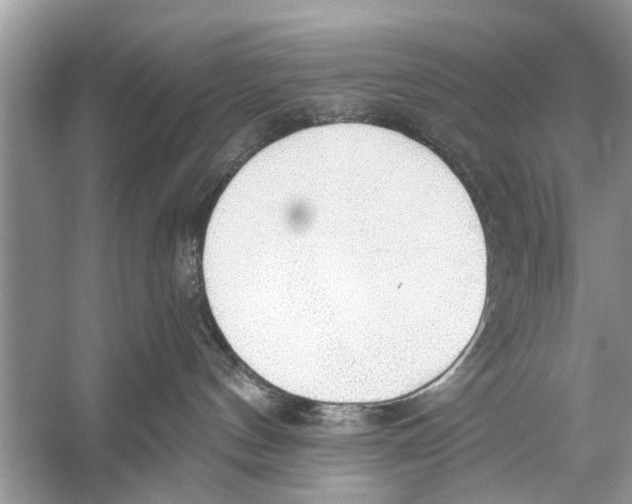 X0000056000144200509162327