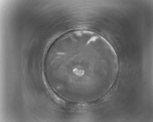 X0000056000145200509162327