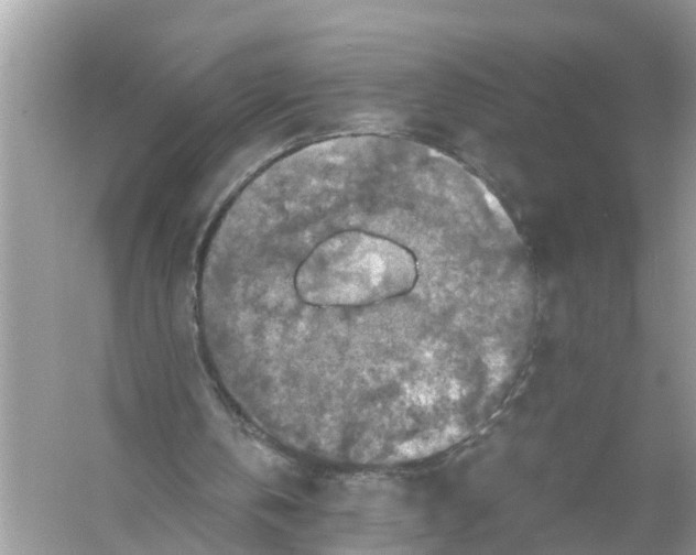 X0000056000146200509162327