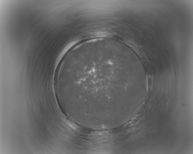 X0000056000147200509162327