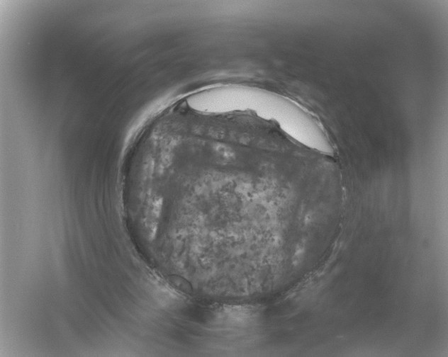 X0000056000149200509162327