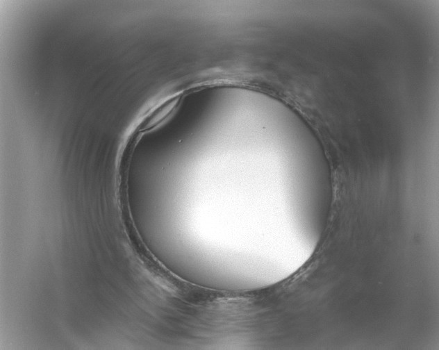 X0000056000150200509162327