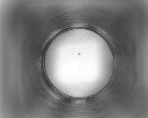 X0000056000155200509162327