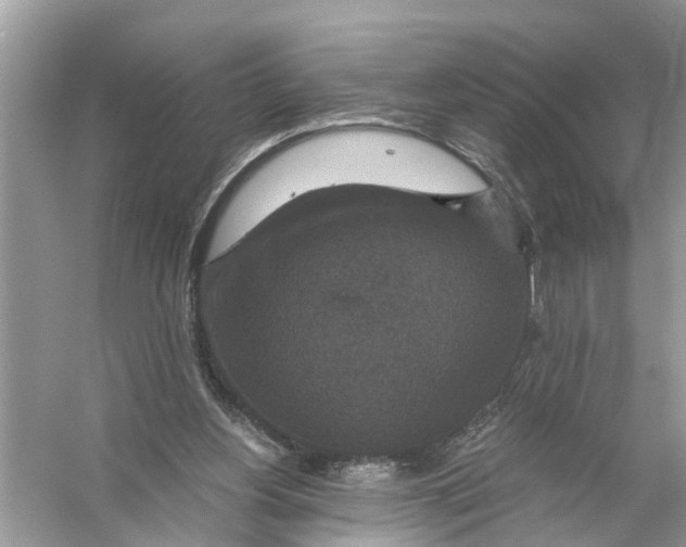 X0000056000156200509162327