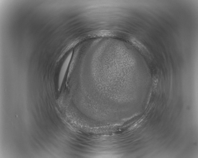 X0000056000158200509162327