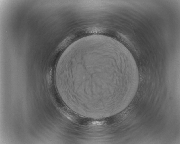 X0000056000163200509162327