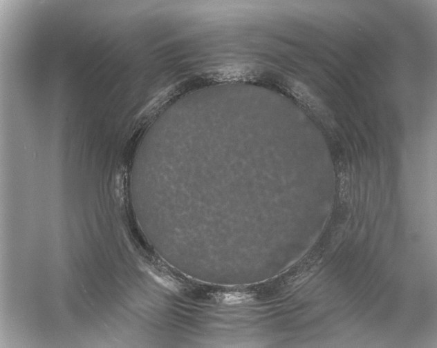 X0000056000165200509162327