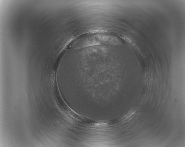 X0000056000168200509162327