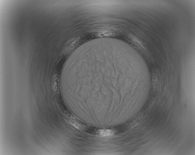 X0000056000169200509162327