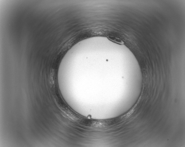 X0000056000174200509162327