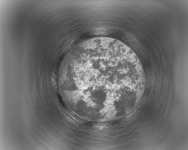 X0000056000175200509162327