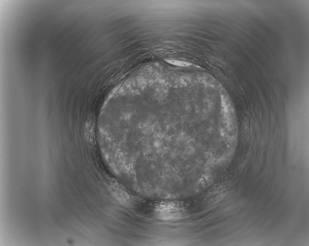 X0000056000177200509162327