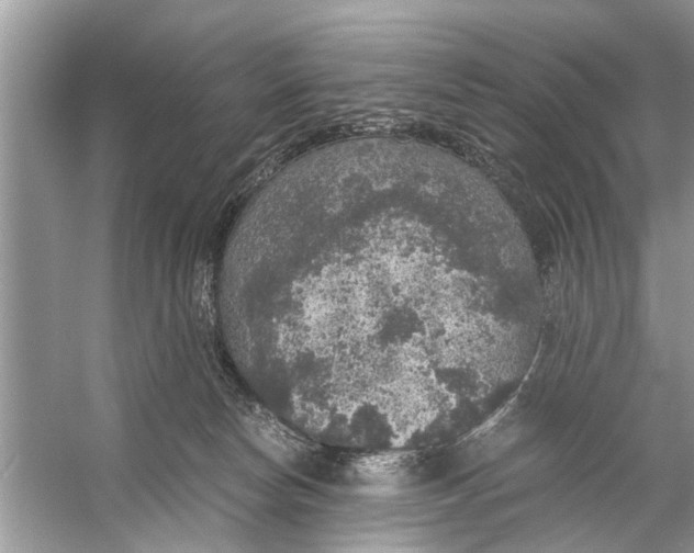 X0000056000178200509162327