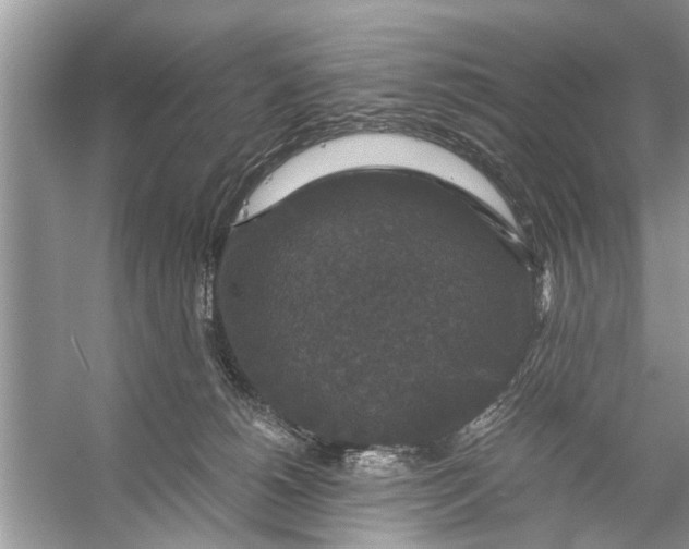 X0000056000180200509162327