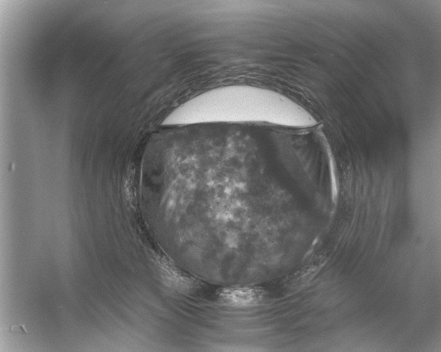 X0000056000181200509162327