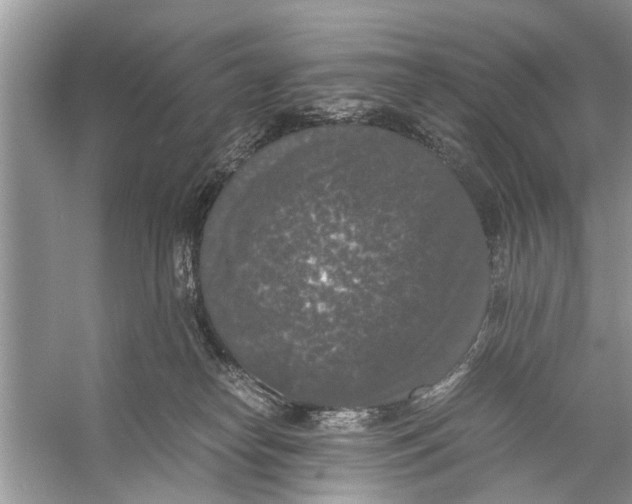 X0000056000182200509162327