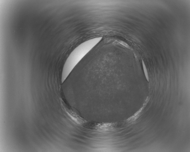 X0000056000186200509162327