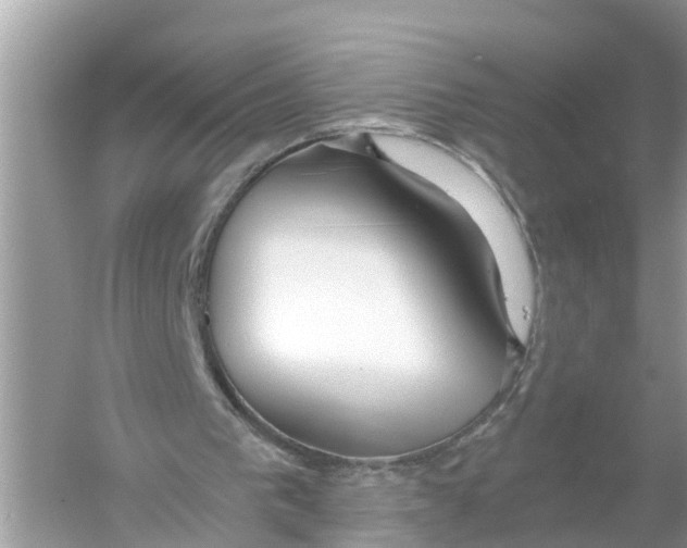 X0000056000193200509162327