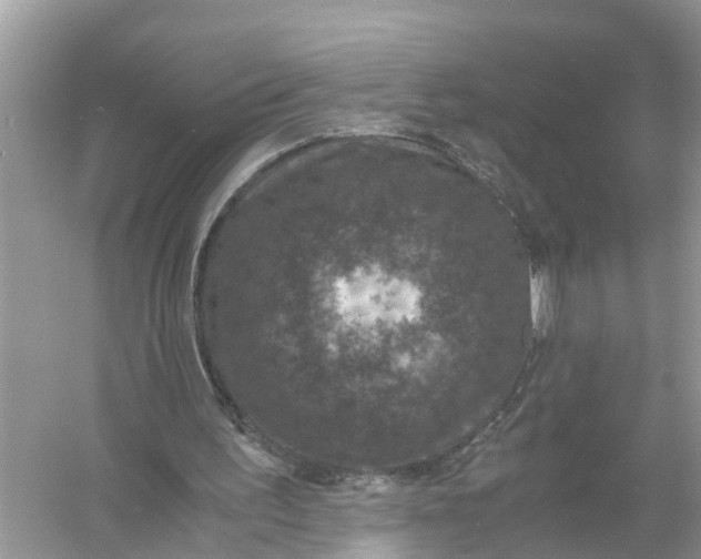 X0000056000195200509162327