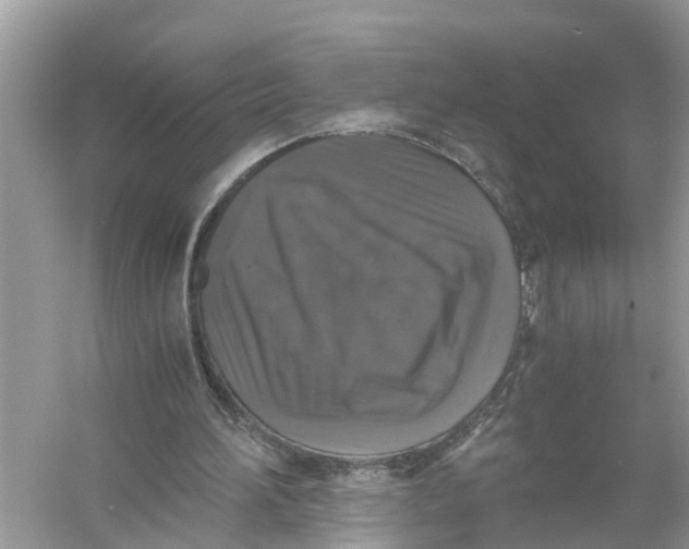 X0000056000196200509162327