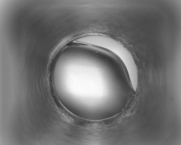 X0000056000197200509162327