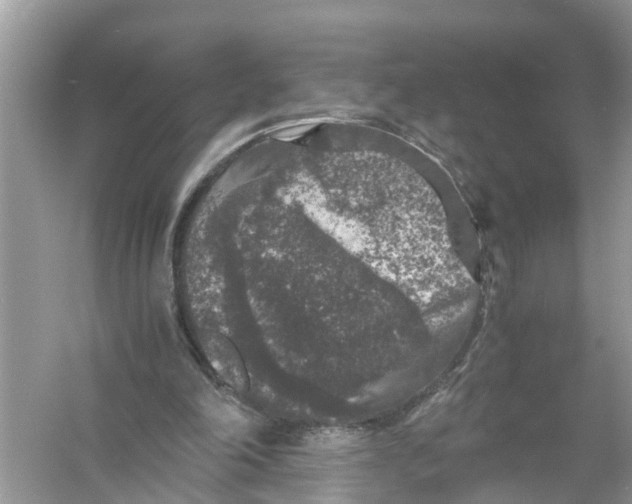 X0000056000198200509162327