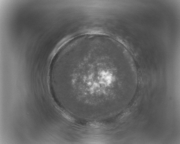 X0000056000199200509162327