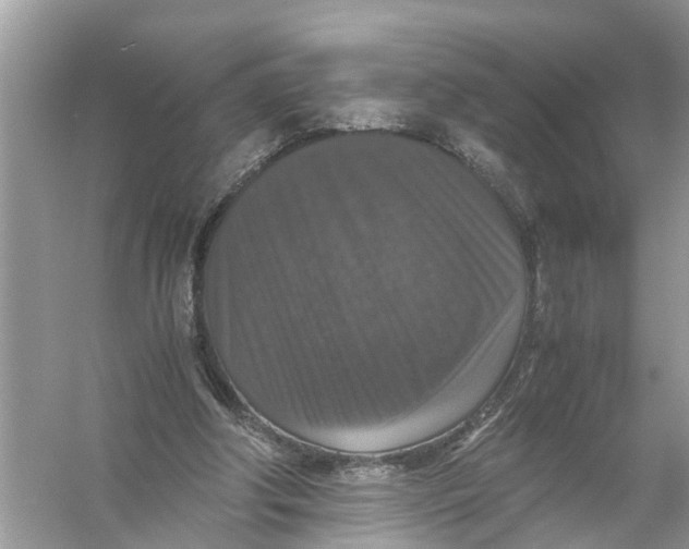 X0000056000202200509162326