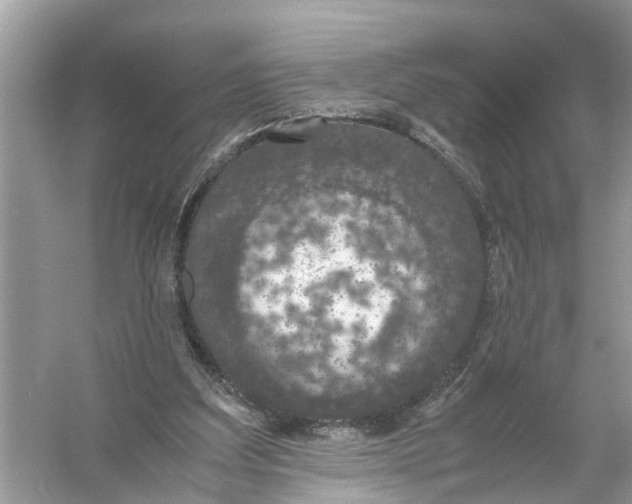 X0000056000203200509162326