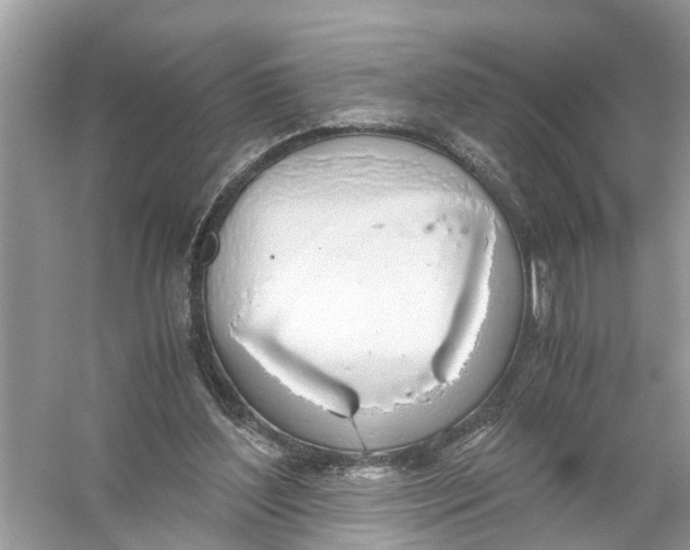 X0000056000204200509162326