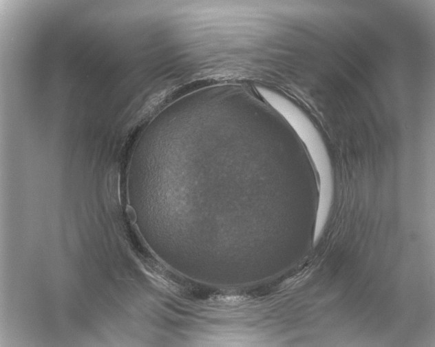 X0000056000205200509162326