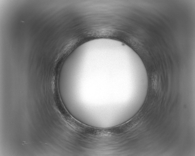 X0000056000206200509162326