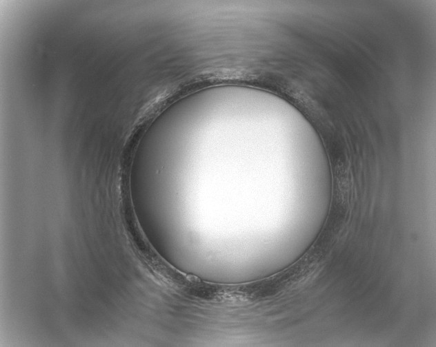 X0000056000207200509162326