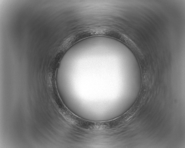 X0000056000209200509162326