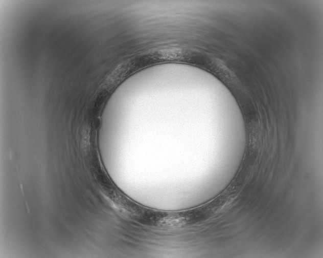 X0000056000213200509162326