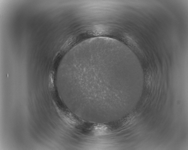 X0000056000214200509162326