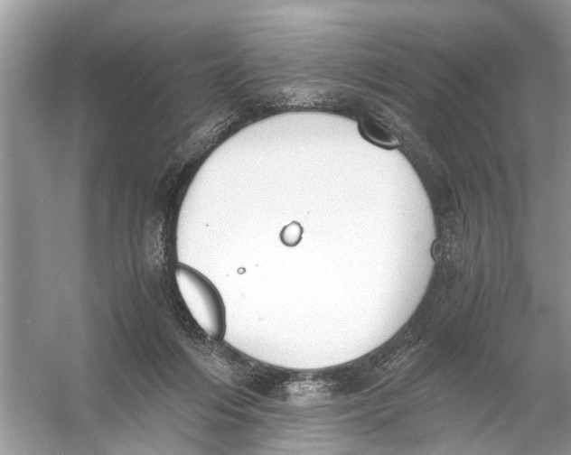 X0000056000216200509162326