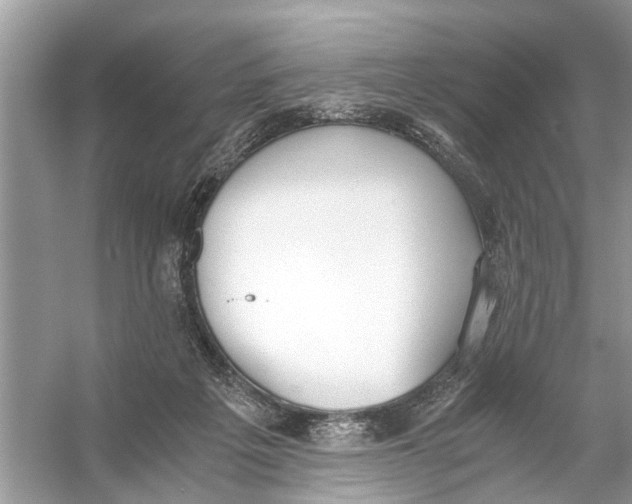 X0000056000217200509162326