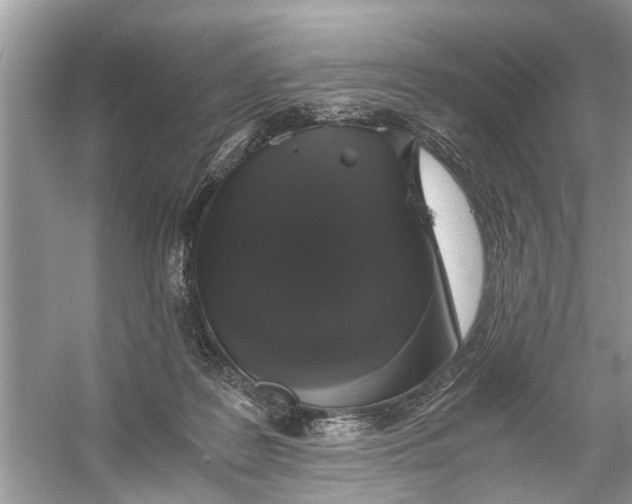 X0000056000219200509162326