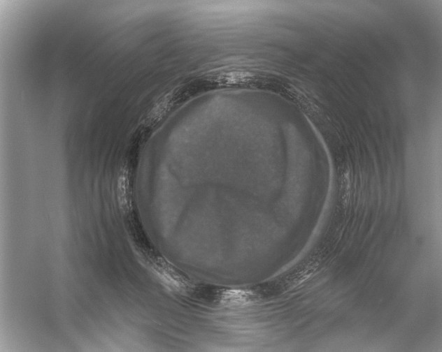 X0000056000222200509162326